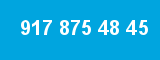 917 875 48 45